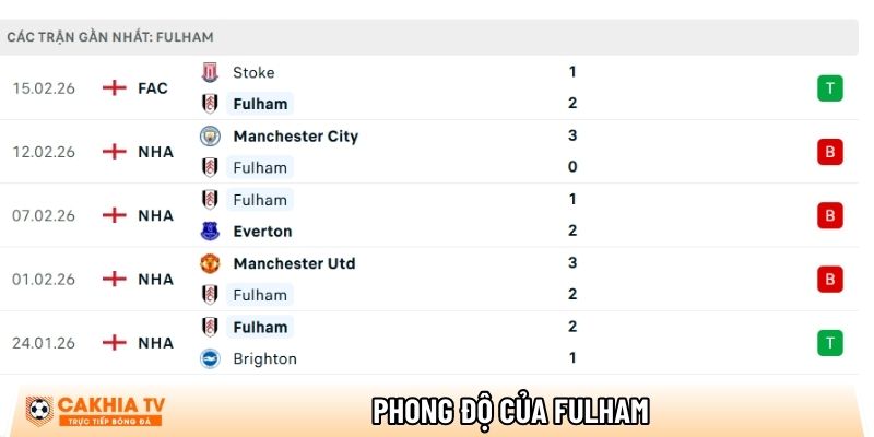 Nhận định Fulham vs Tottenham, 21h00 ngày 01/03 - Ngoại hạng Anh 1 phong do cua fulham